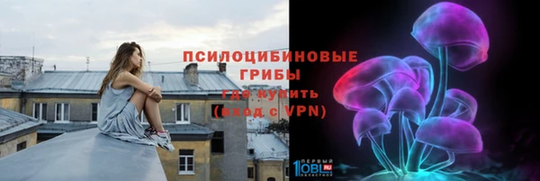 соль ск Нефтекумск