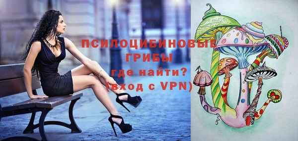 соль ск Нефтекумск